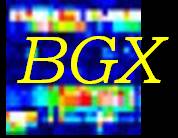 bgx logo